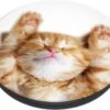 PopSockets Basis Schmusekatze