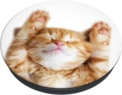 PopSockets Basis Schmusekatze