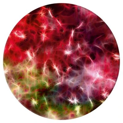 PopSockets Basic Lightshow 1 PopSockets Basic Lightshow