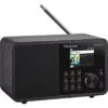 TELESTAR DIRA M 1 A Mobil DAB+/UKW Und Internetradio Mit EWF Warnsystem