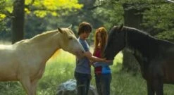 Universal BLU-RAY Ostwind 2 -Optimal Elektronik Geschäft 4213502 04